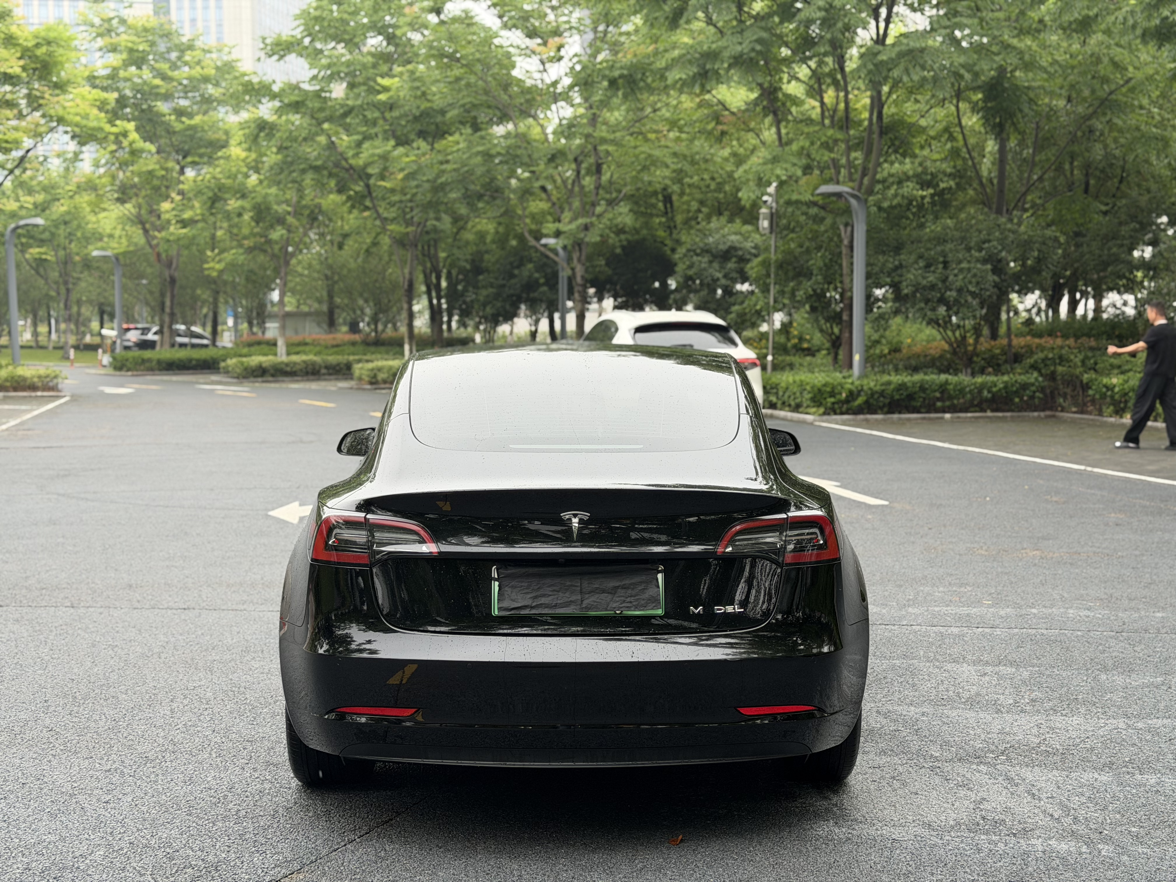 Tesla Model 3 2021 immagine di auto #11