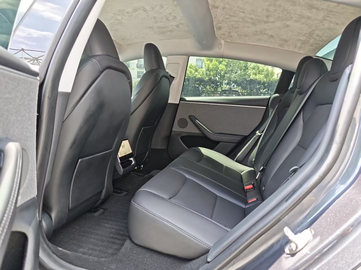Tesla Model 3 2024 car image #5