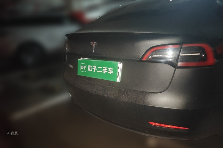 Tesla Model 3 2023 car image #6
