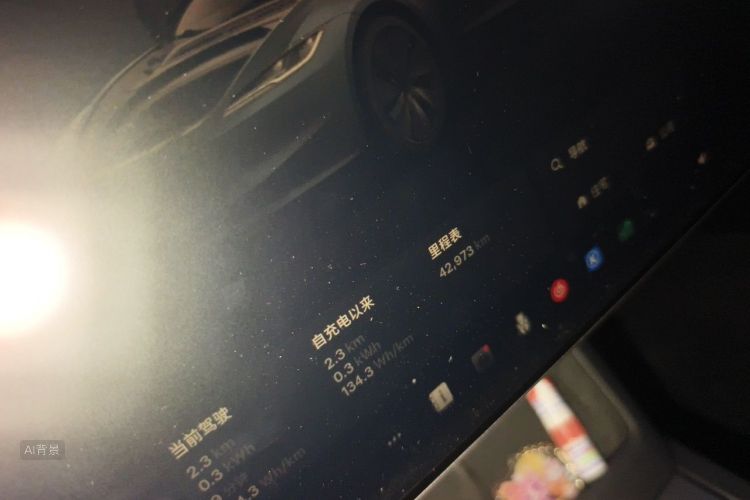 Tesla Model 3 2024 #14 Tesla Model 3 2024 car image #14