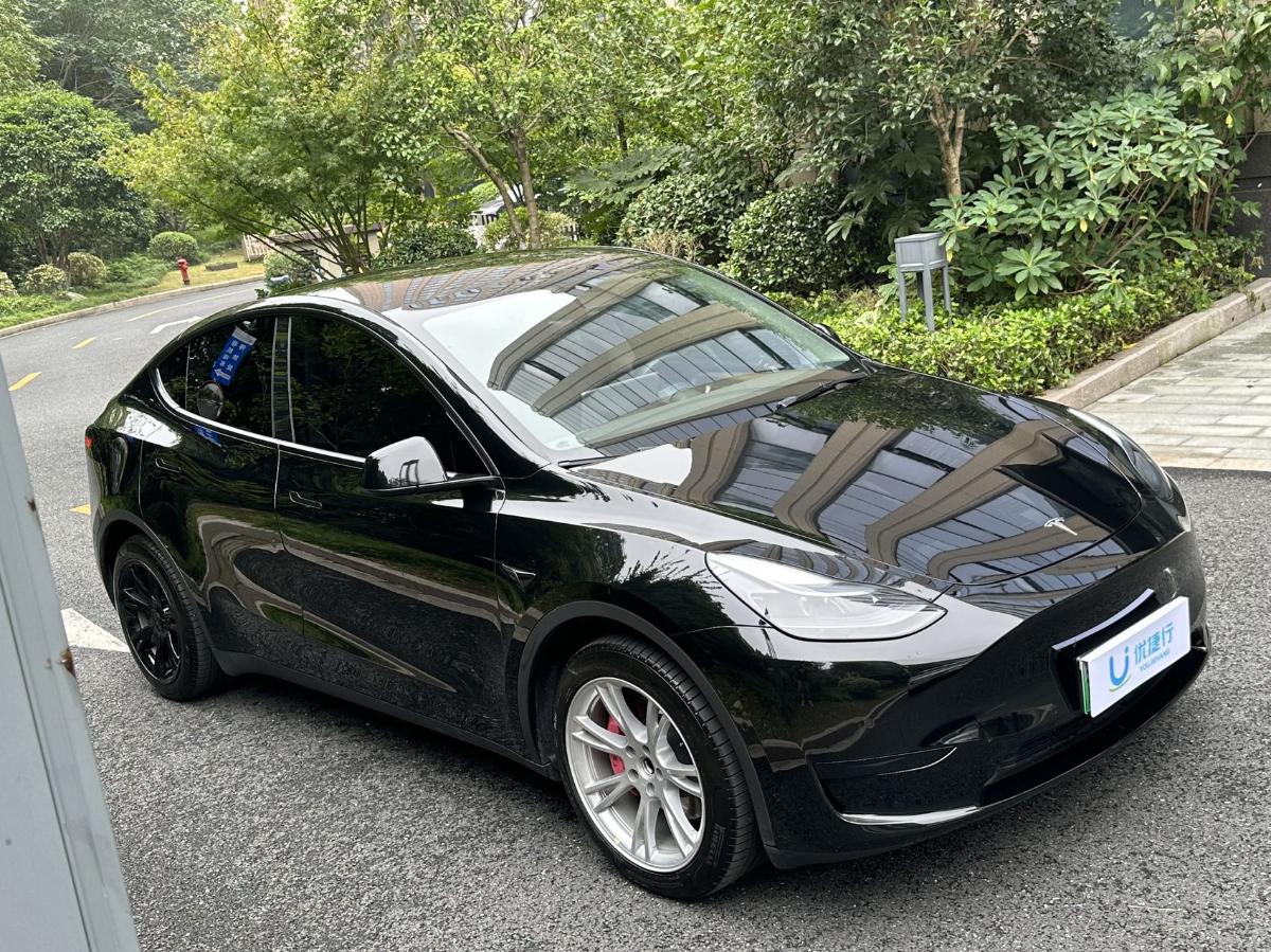 Tesla Model Y 2023 immagine di auto #2