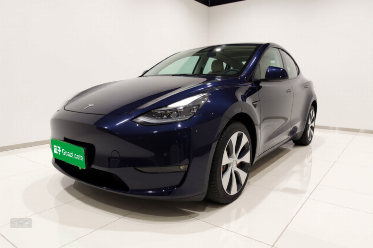 Tesla Model Y 2021 car image #2