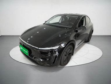 Tesla Model Y 2025 Tesla Model Y 2025 car image