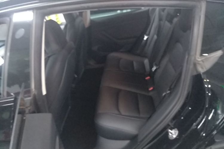 Tesla Model 3 2021 car image #17