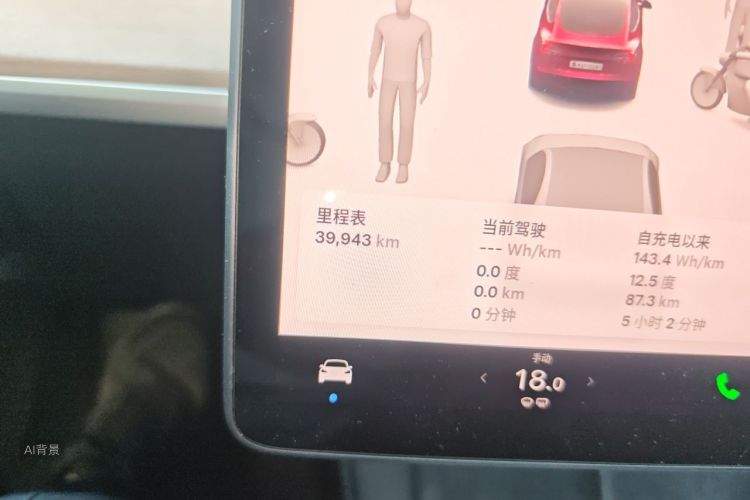 Tesla Model 3 2022 car image #14