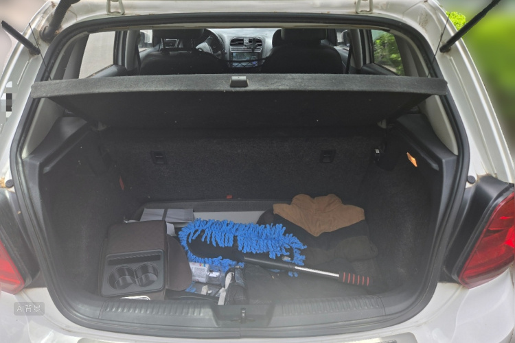 Volkswagen Polo 2015 car image #21