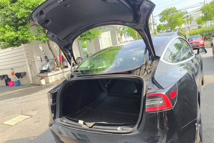 Tesla Model 3 2020 #19 Tesla Model 3 2020 car image #19