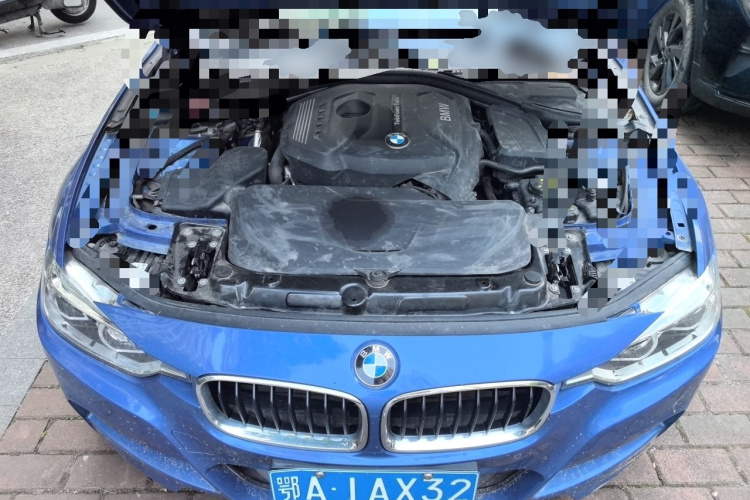 BMW 3 Series 2016 car image #22