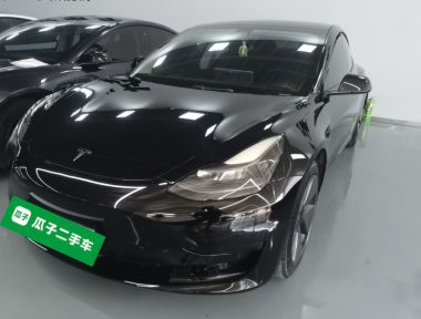 Tesla Model 3 2021 Tesla Model 3 2021 car image
