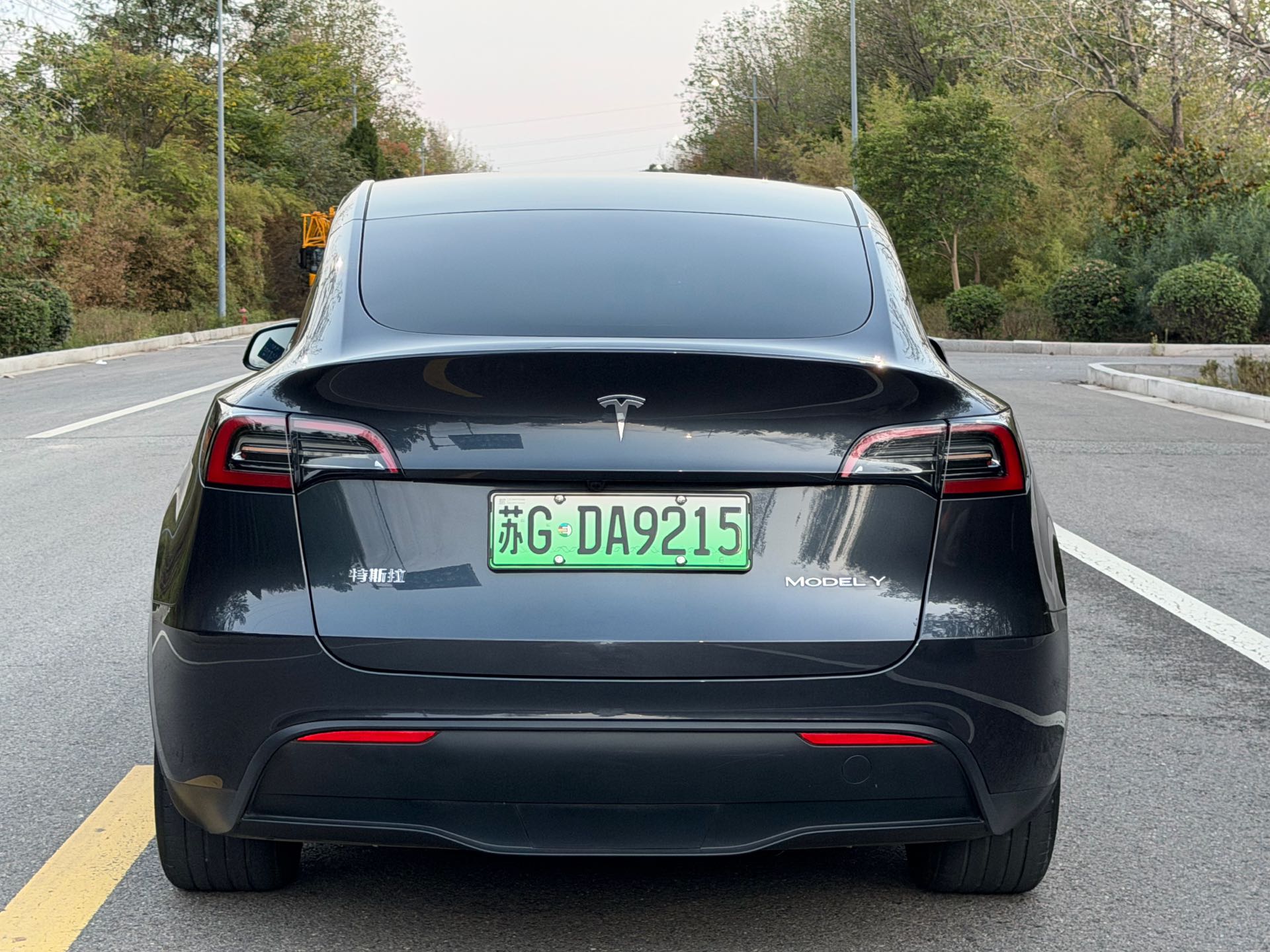 Tesla Model Y 2024 #10 Tesla Model Y 2024 car image #10