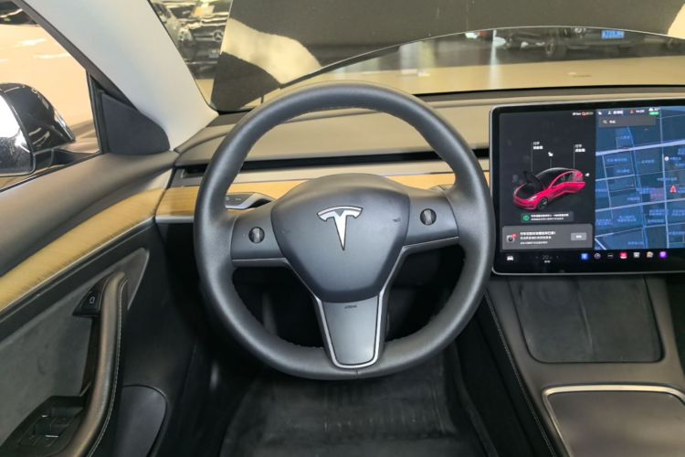 Tesla Model 3 2021 car image #11