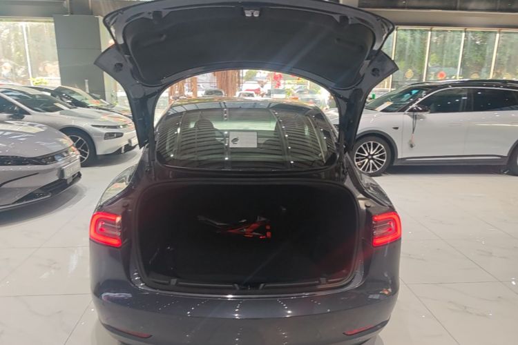 Tesla Model 3 2020 #19 Tesla Model 3 2020 car image #19