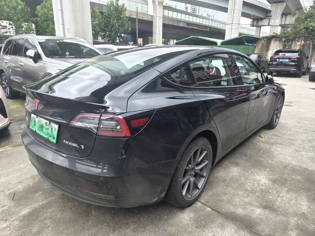 Tesla Model 3 2023 #6 Tesla Model 3 2023 car image #6