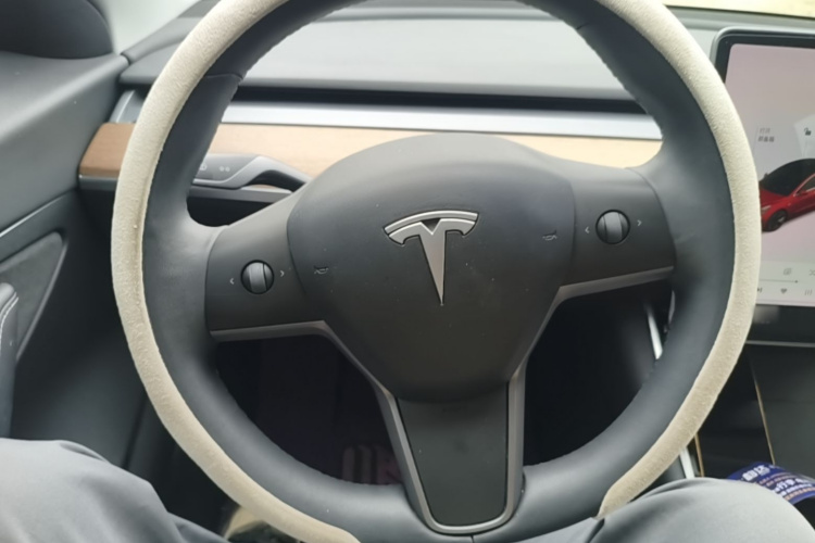 Tesla Model 3 2020 car image #11
