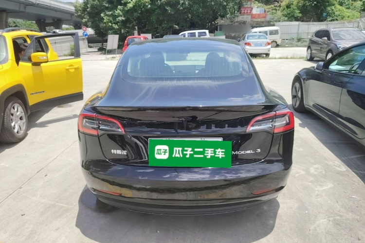 Tesla Model 3 2020 car image #6