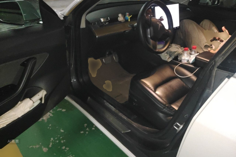 Tesla Model 3 2020 #18 Tesla Model 3 2020 immagine di auto #18