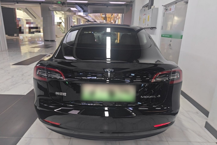 Tesla Model 3 2021 car image #6