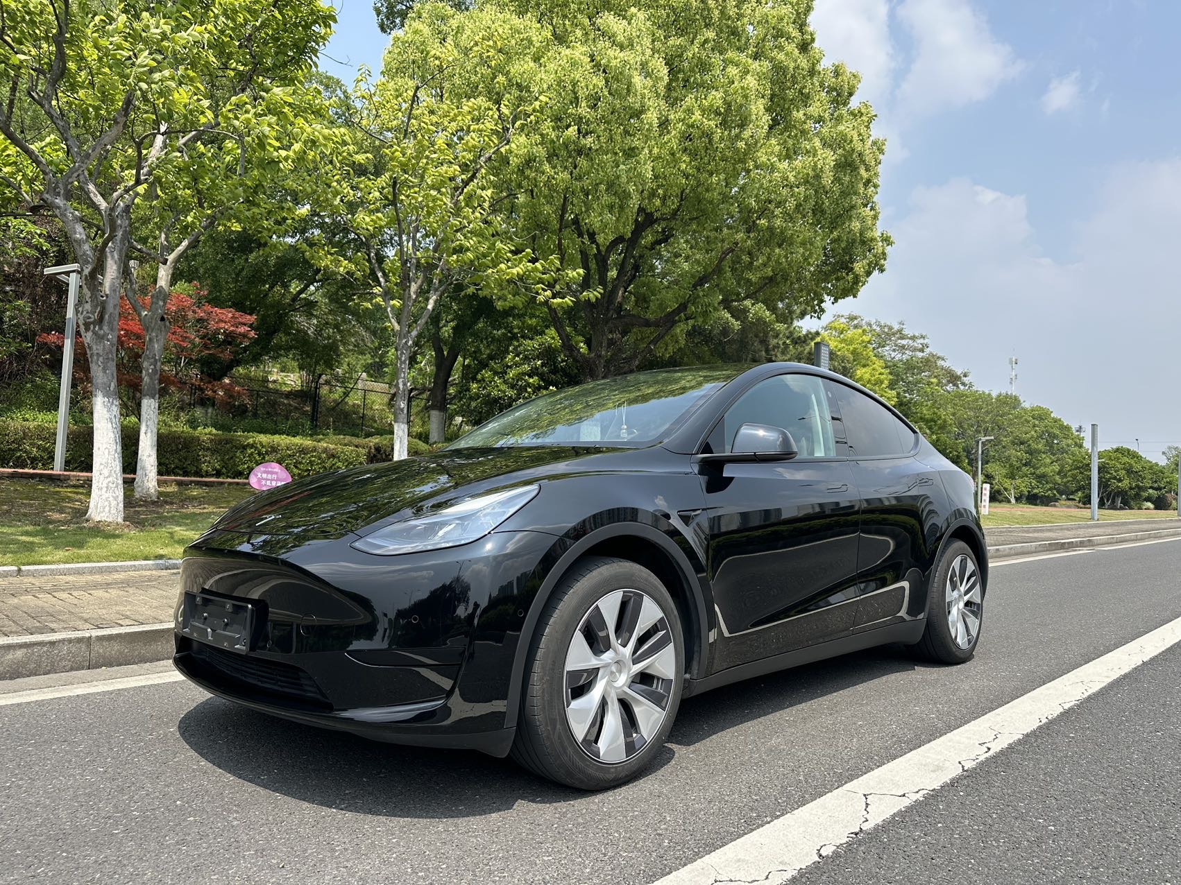 Tesla Model Y 2023 car image 