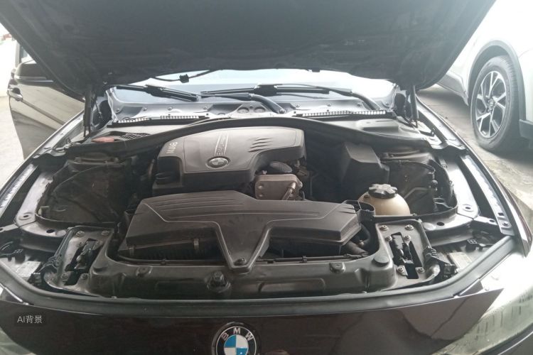 BMW 3 Series 2016 car image #22