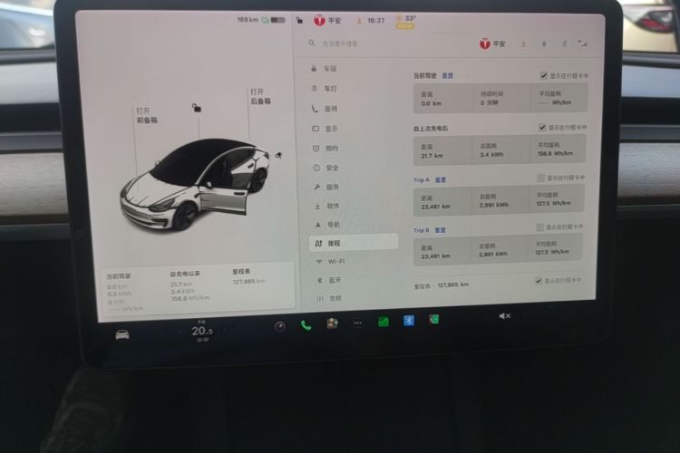 Tesla Model 3 2021 car image #12