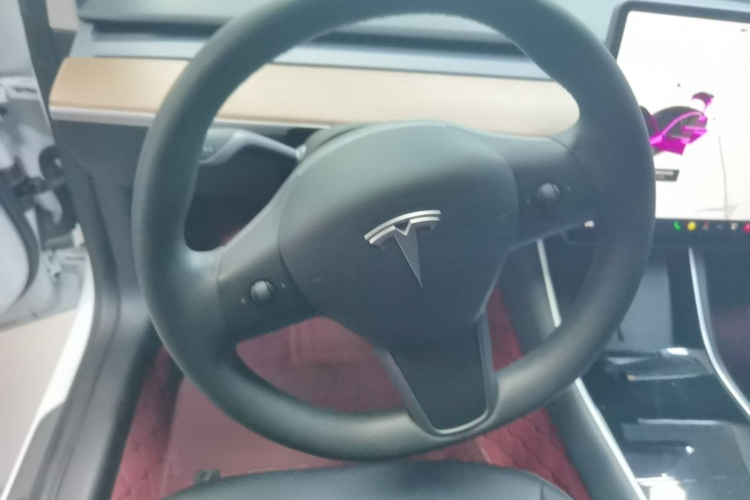 Tesla Model 3 2020 car image #11