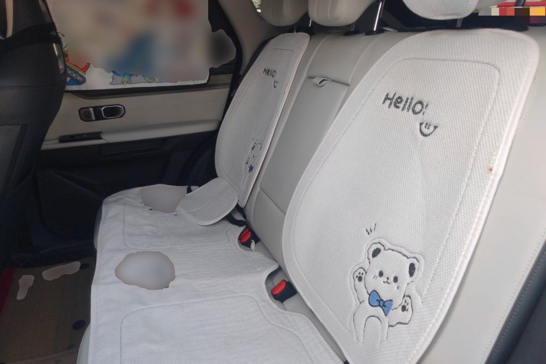 Jetour Dashing 2024 car image #19