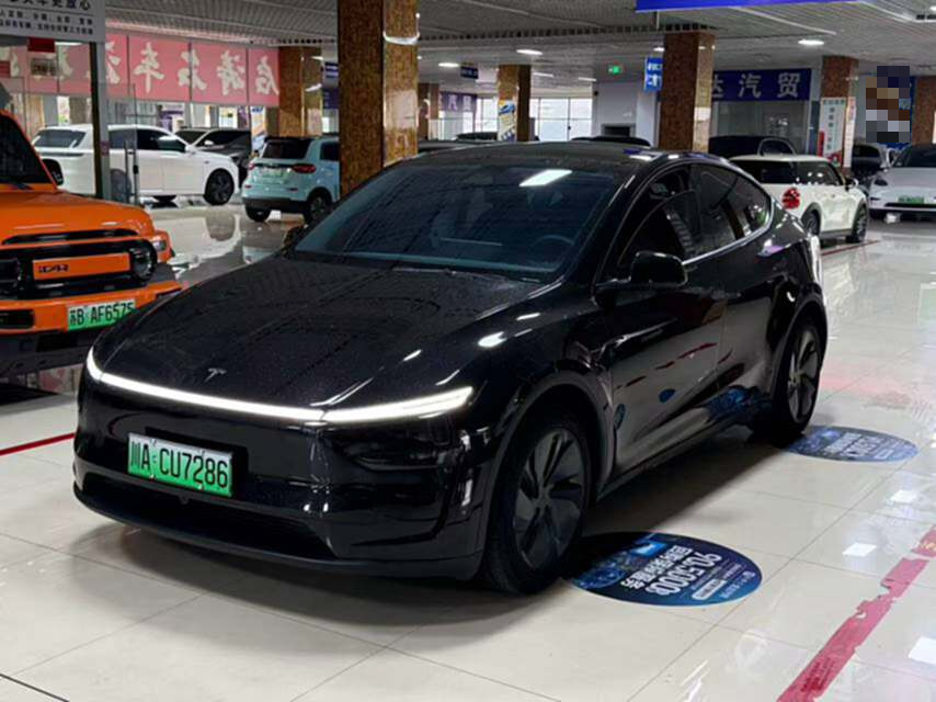 Tesla Model Y 2025 car image #2