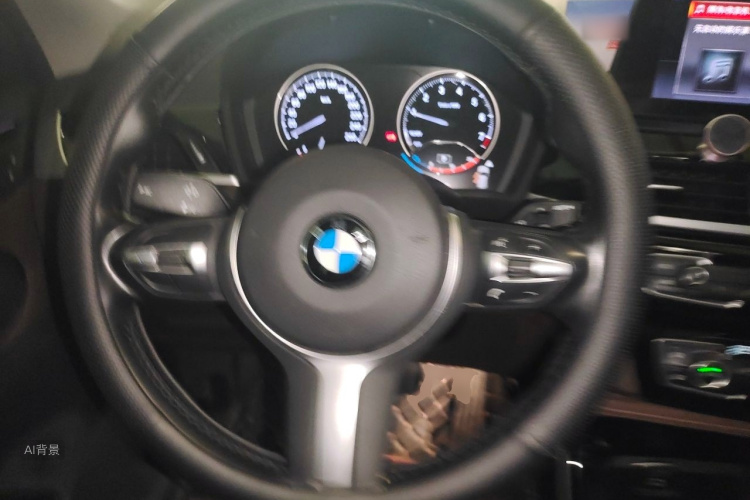 BMW X1 2020 car image #12