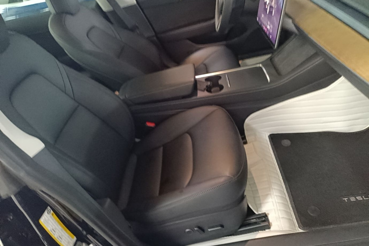 Tesla Model 3 2022 #24 Tesla Model 3 2022 car image #24