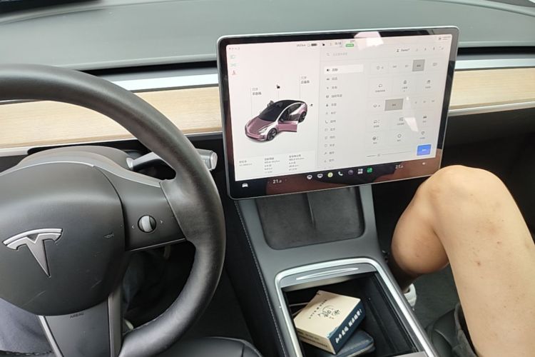 Tesla Model 3 2021 #13 Tesla Model 3 2021 car image #13