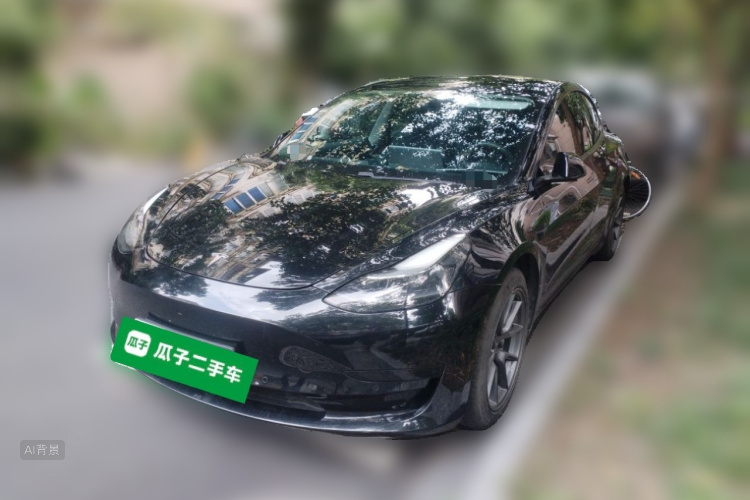 Tesla Model 3 2021 car image #2