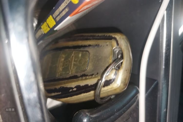 GEELY Coolray 2019 car image #10