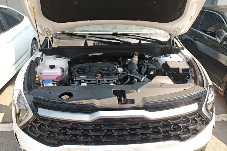 起亚 狮铂拓界 2025 汽车图片 #20