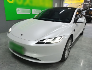 Tesla Model 3 2024 Tesla Model 3 2024 car image