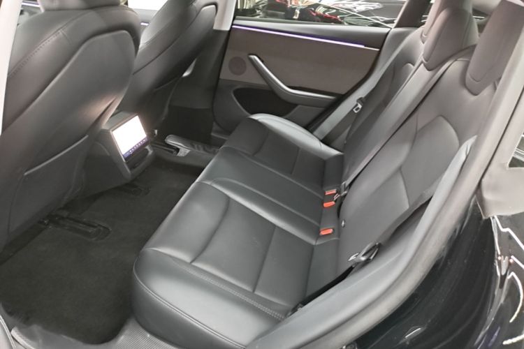 Tesla Model 3 2023 car image #17