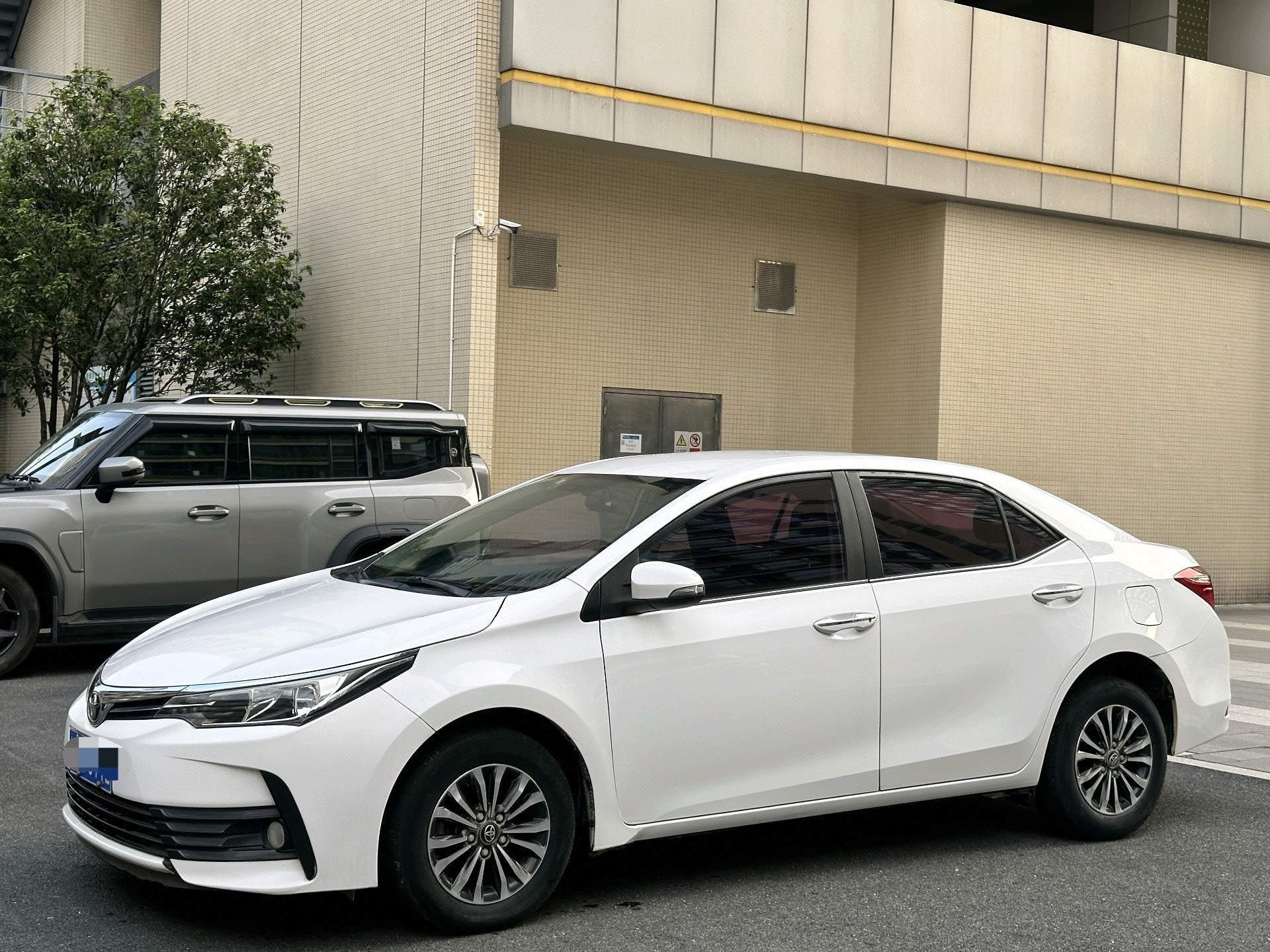 Toyota Corolla 2019 car image 