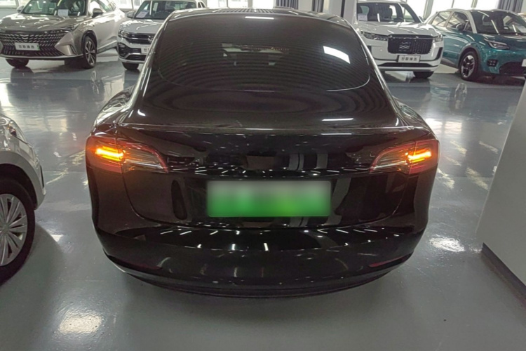 Tesla Model 3 2021 #4 Tesla Model 3 2021 car image #4