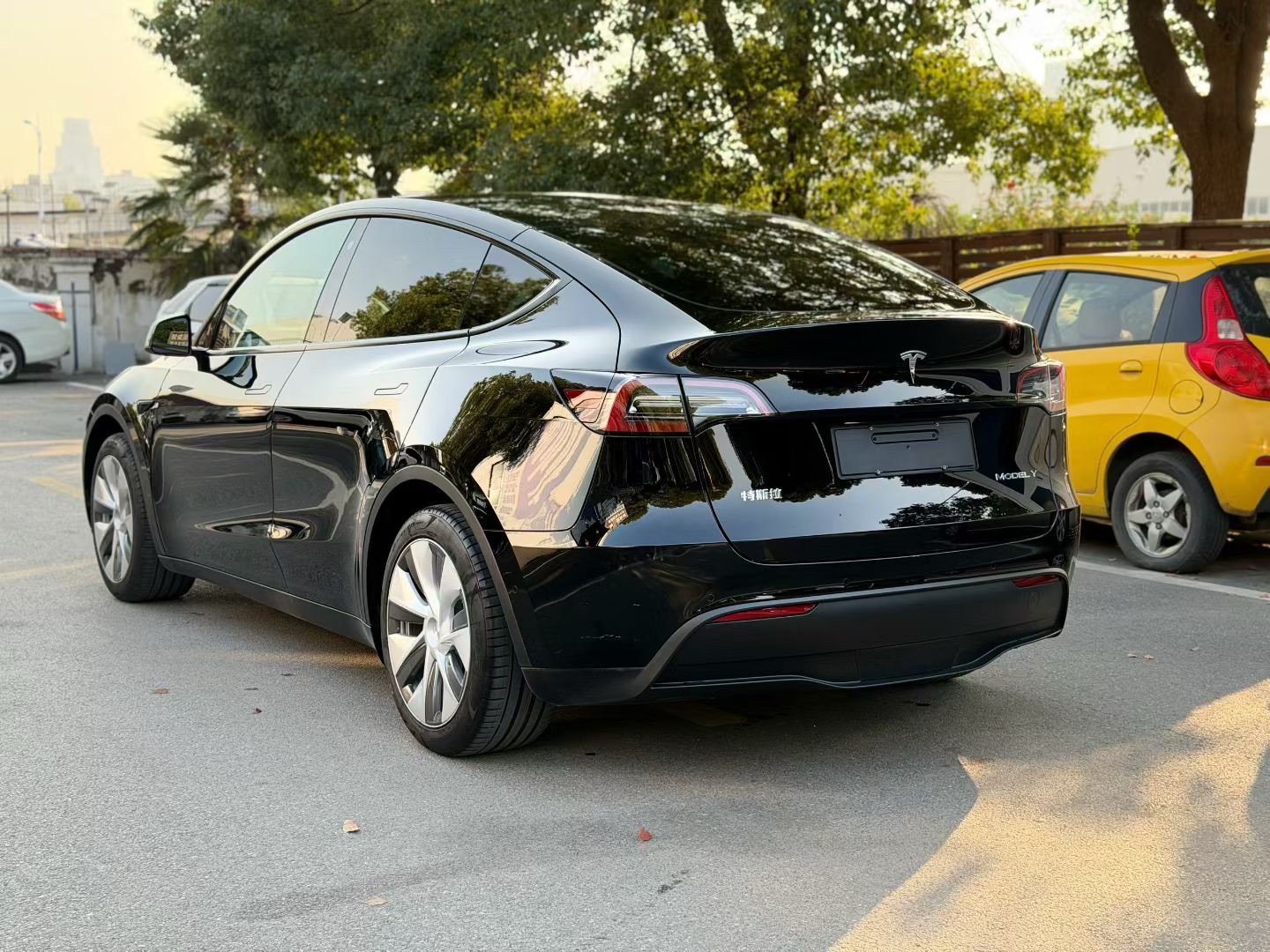 Tesla Model Y 2023 #7 Tesla Model Y 2023 car image #7