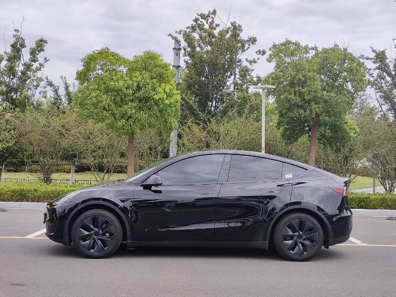 Tesla Model Y 2024 car image #8