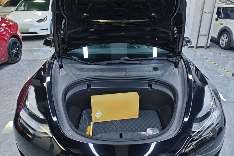 Tesla Model 3 2020 #20 Tesla Model 3 2020 car image #20