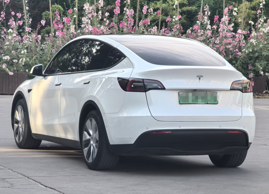 Tesla Model Y 2022 car image #6