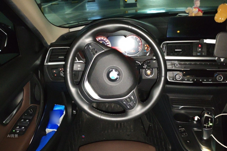 BMW 3 Series 2018 car image #12