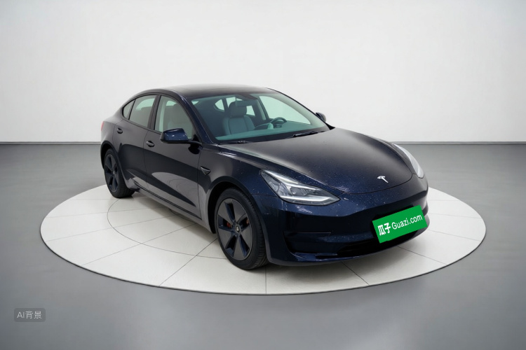 Tesla Model 3 2021 #4 Tesla Model 3 2021 car image #4