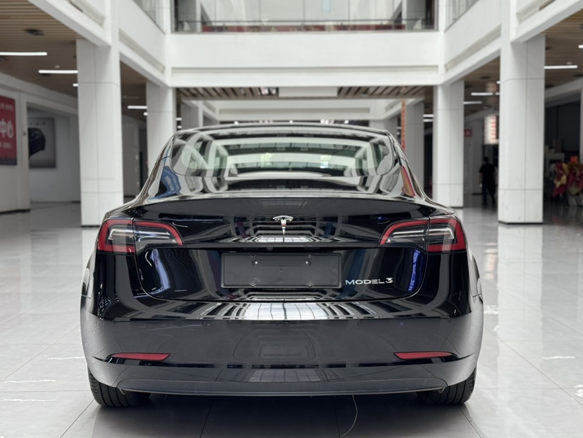 Tesla Model 3 2022 car image #6