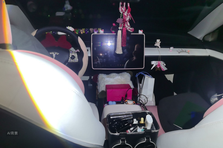 Tesla Model 3 2022 car image #11