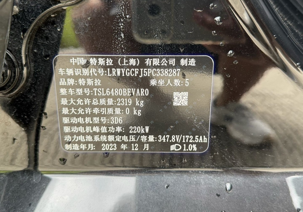 Tesla Model Y 2024 car image #10