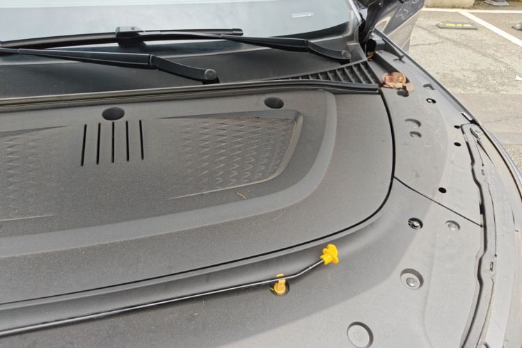 BYD Yuan Plus 2025 car image #24
