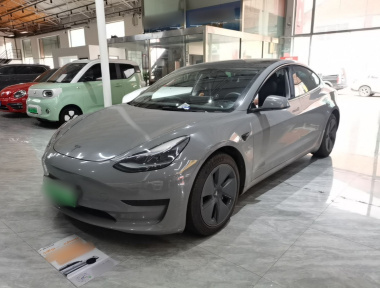 Tesla Model 3 2021 car image 