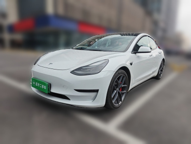 Tesla Model 3 2021 car image 