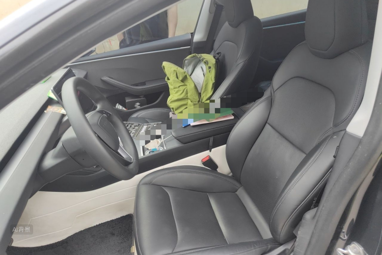 Tesla Model 3 2024 car image #17